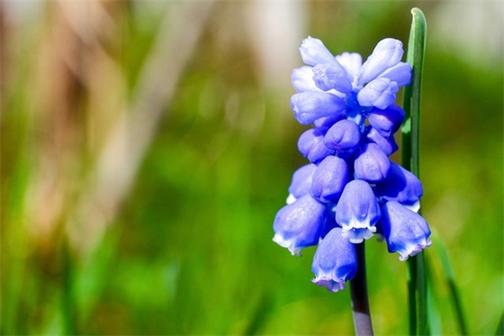 自行车标语122句