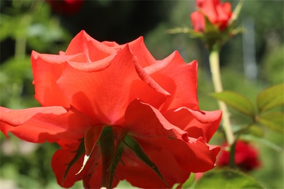 驾校安全警示标语100句 驾校安全警示标语100句