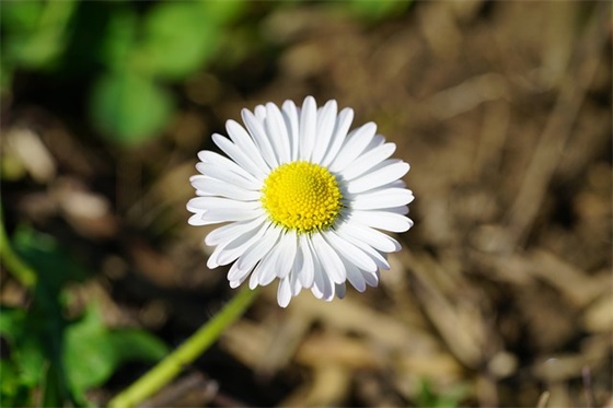 1月份销售口号80句