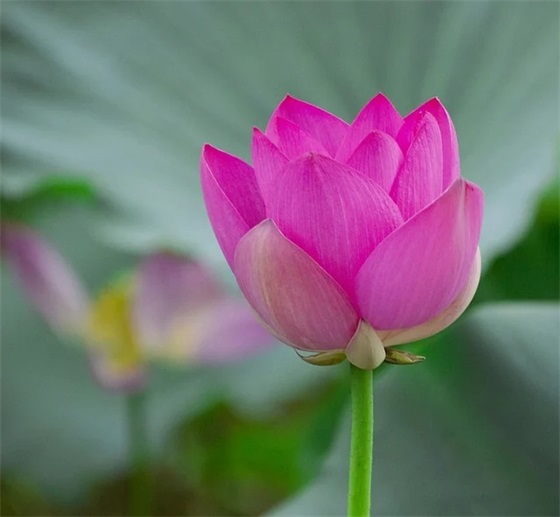 保险团队口号大全92句