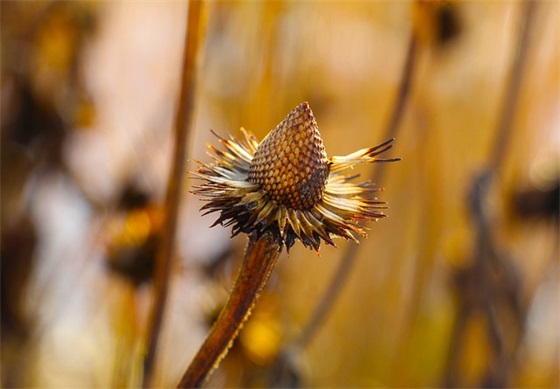 晨会企业口号精神 4s店晨会口号