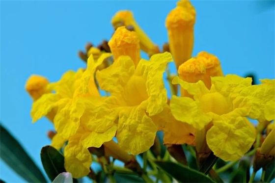 交警安全宣传标语101句