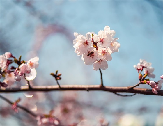 平安夜贺卡简短祝福语