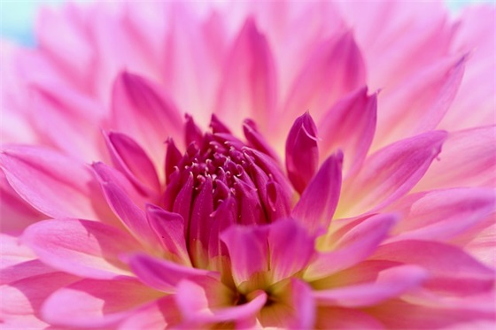 送给女儿六一儿童节的祝福语