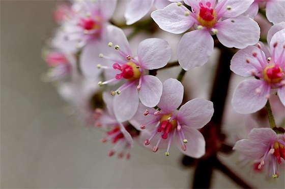 元宵节给朋友的经典祝福语