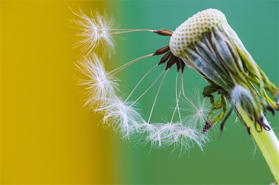 有关一个人情况下的情感话语(快手评论祝福人的情感话语) 有关一个人情况下的情感话语(快手评论祝福人的情感话语)