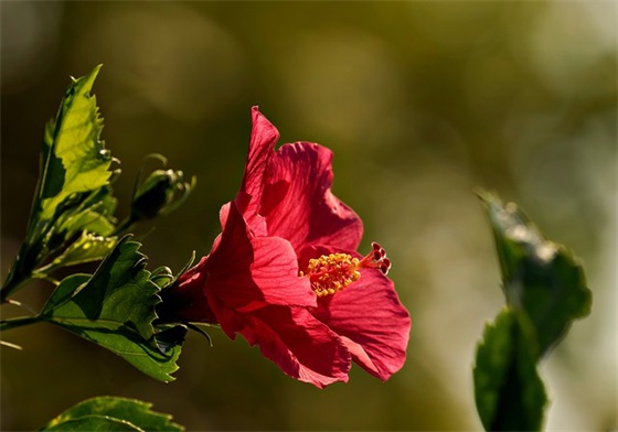 搞笑生日礼物祝福语 恶搞生日礼物图片