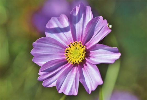 银婚朋友祝福语33句