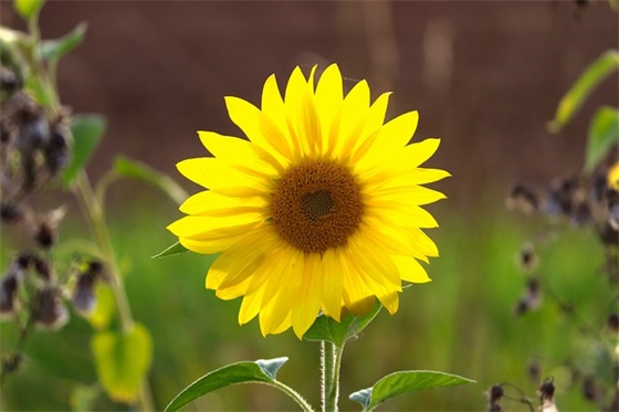 上班祝福语八字 病人祝福语简短八字