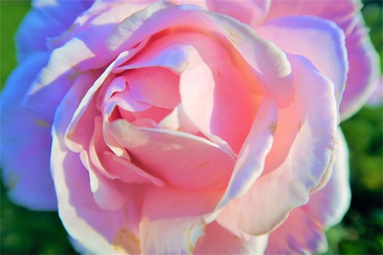 生日祝福语英文贺卡