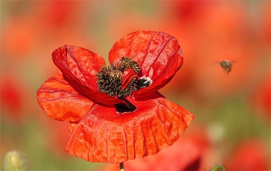 香港区号是多少