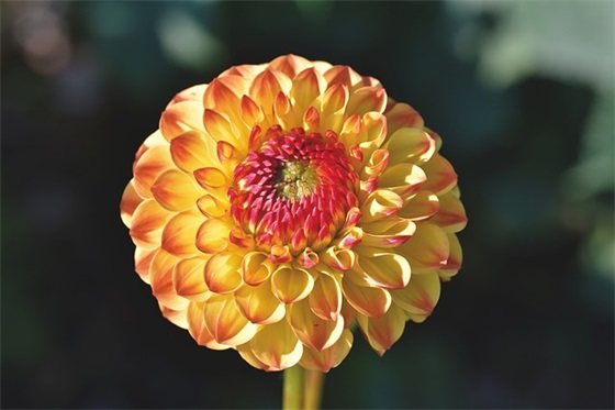 95114是什么电话？ 95114是诈骗电话吗