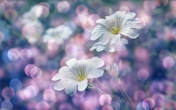 为什么会得糖尿病（为什么现在那么多人得糖尿病）