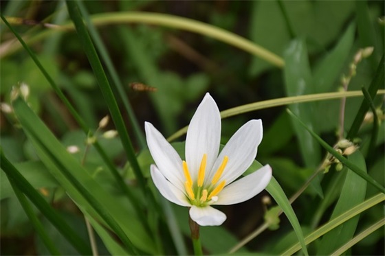 为什么卖这么贵？ 爆拆固态硬盘浦科特SSD