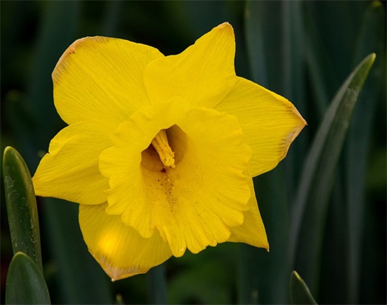 为什么古代都在“午时三刻”行刑，换个时间不行吗？还真不行！