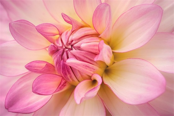 脆皮冬瓜条有哪些做法