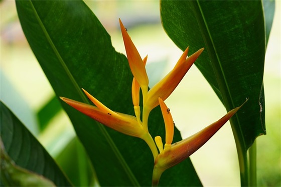 横横撇竖是什么字