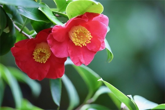 中国十大不吃辣城市排名，不喜欢吃辣的城市排行榜前十名