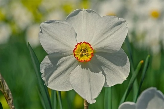 给老人买什么礼物好,适合老人的礼物排行榜