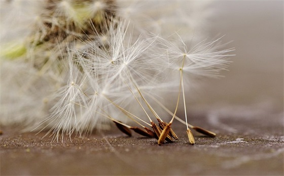 一万左右的小本生意，一万元做什么小生意比较好