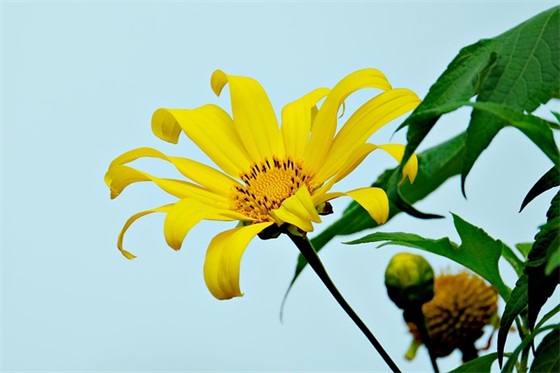 个性唯美女生幸福签名大全