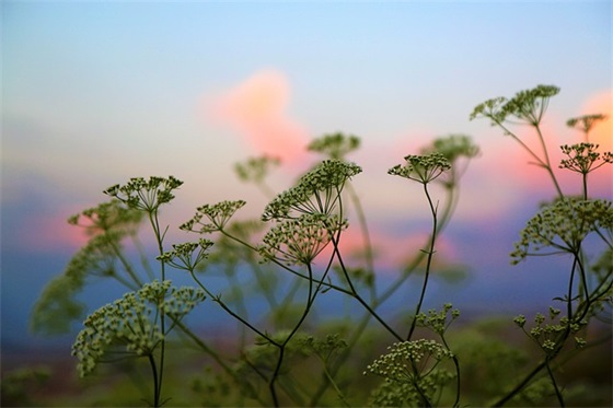 送男朋友啥生日礼物好，送男朋友有意义的礼物排行榜