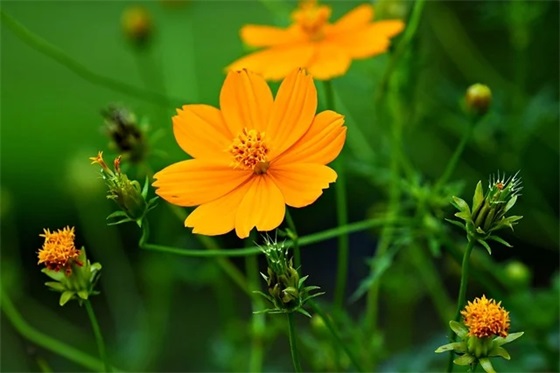 送闺蜜礼物排行榜实用30款