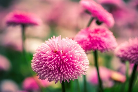 有特色的网店店名 能吸引年轻人的网店名