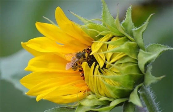 玩具品牌排行榜前十名，儿童玩具品牌十大排名