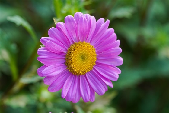 闺蜜订婚送什么礼物好，送闺蜜订婚礼物排行榜