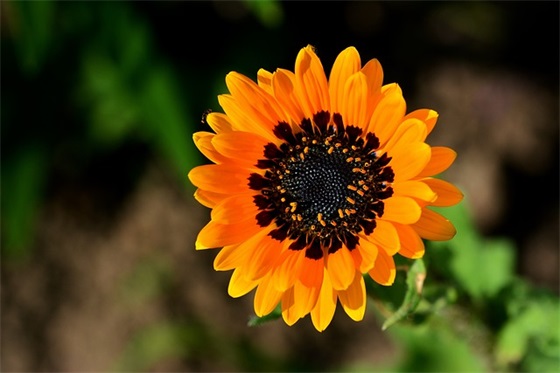 鼓励孩子加油的暖心话