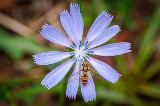 青春美好的句子 青春美好的句子