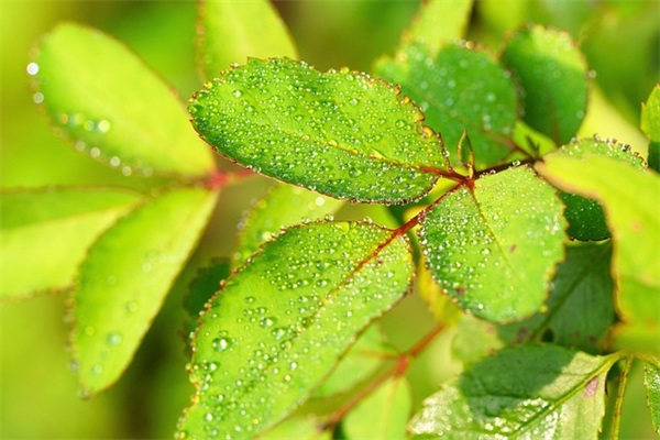 形容天气炎热的句子 形容夏天天气炎热的句子 形容天气炎热的句子 形容夏天天气炎热的句子