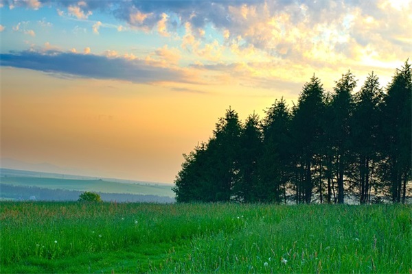 高中语文积累优美句子