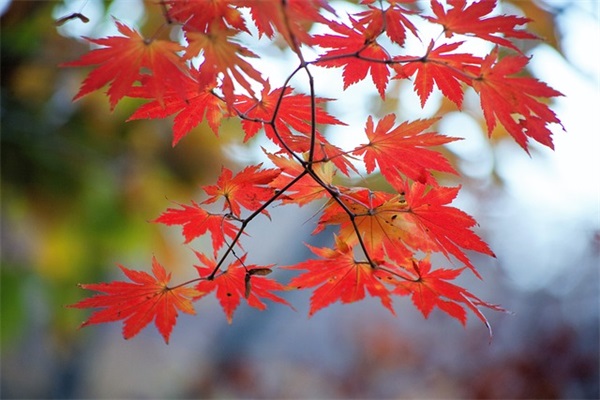 要从小学会珍惜时间的句子 要珍惜时间的句子 要从小学会珍惜时间的句子 要珍惜时间的句子