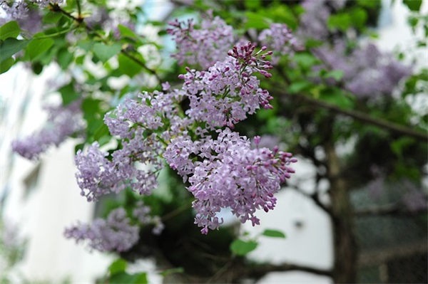 最忧伤的句子 最忧伤的句子