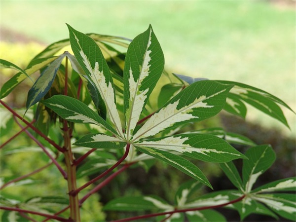 钻研精神的句子86句 钻研精神的句子86句