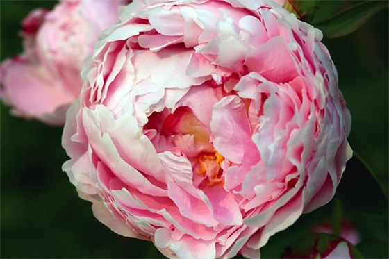 去逝的句子 致逝者的句子 去逝的句子 致逝者的句子