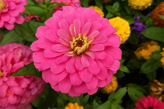 2026不一样的春天句子