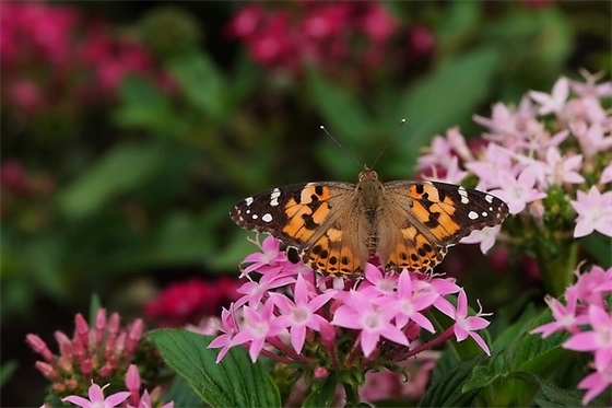 记录点点滴滴的句子 记录点点滴滴的句子