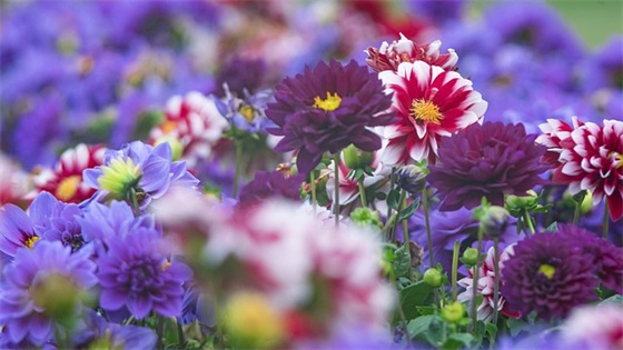 永远年轻的句子汇编,保持童心的优美句子精选