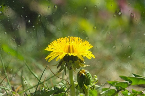 抖音能够引起共鸣的话 适合发抖音的简短句子