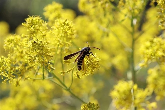 激励初三学生拼搏的话 中考加油励志的句子