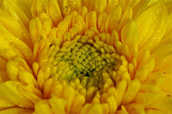 形容女孩好看的句子