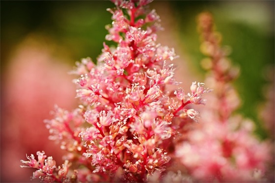 阿甘正传的句子 阿甘正传中的好句子