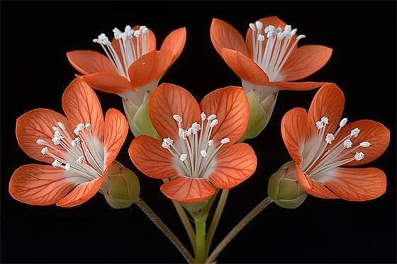 想念的句子 暗示想念某人的句子