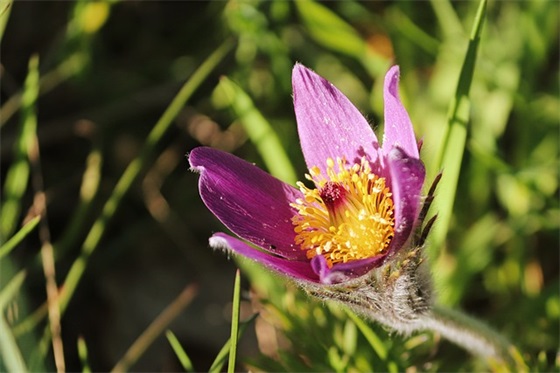 最能给你带来正能量的语句 写给自己的励志句子