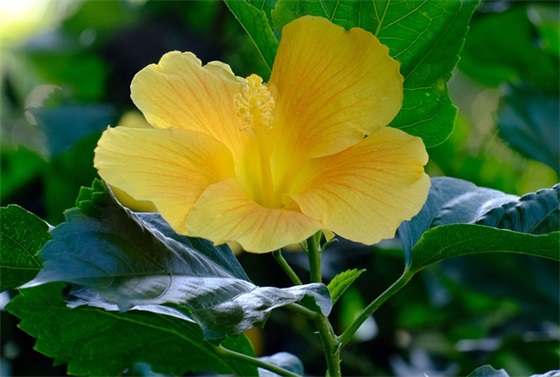 qq2026最伤感句子