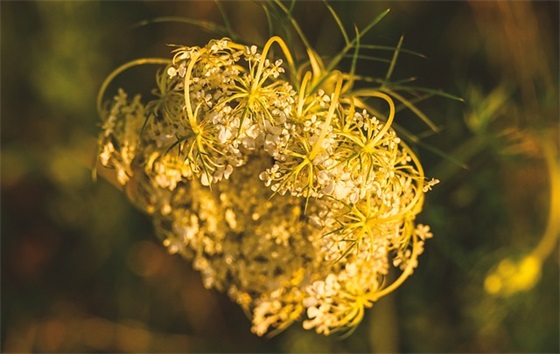 描写海洋的优美句子 描写海洋的优美句子30字