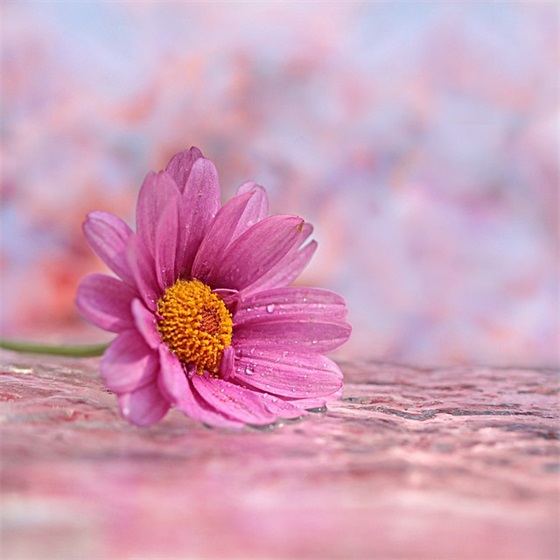 班级口号霸气押韵励志16字